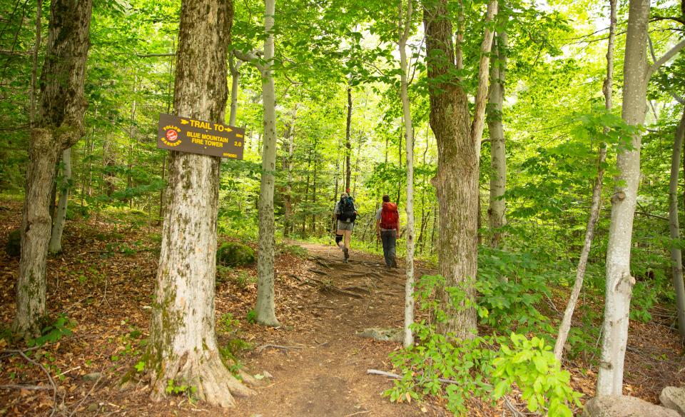 Two people hiking on a trail