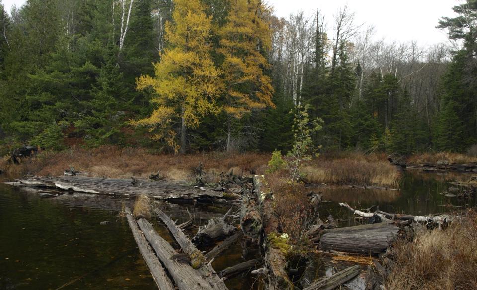 This especially scenic pond is a great destination in the fall.