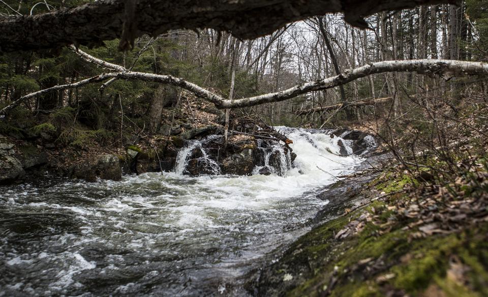 A portion of Limekiln Falls during late fall