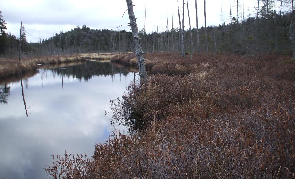 Hike in during migration seasons.