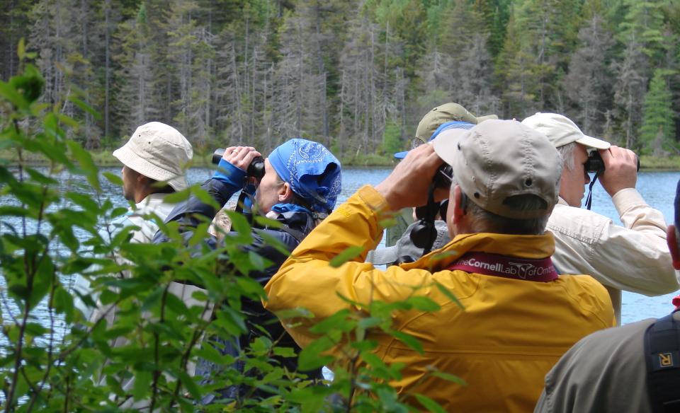 There are designated birding areas at Ferd's Bog.