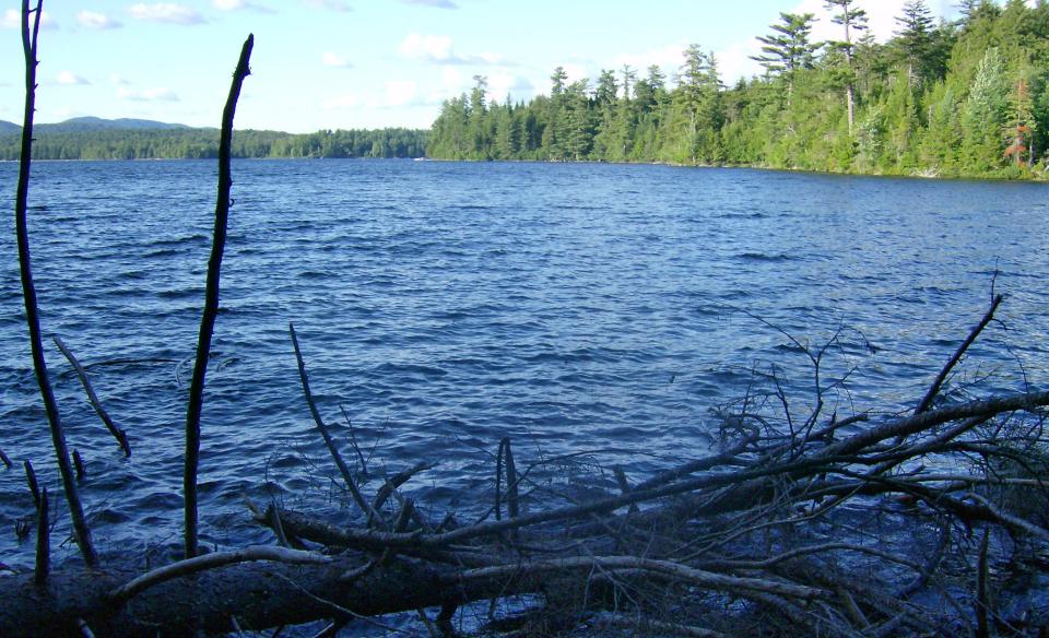 All these places to hide along the shoreline might be why Lake Eaton has the reputation for great fishing.