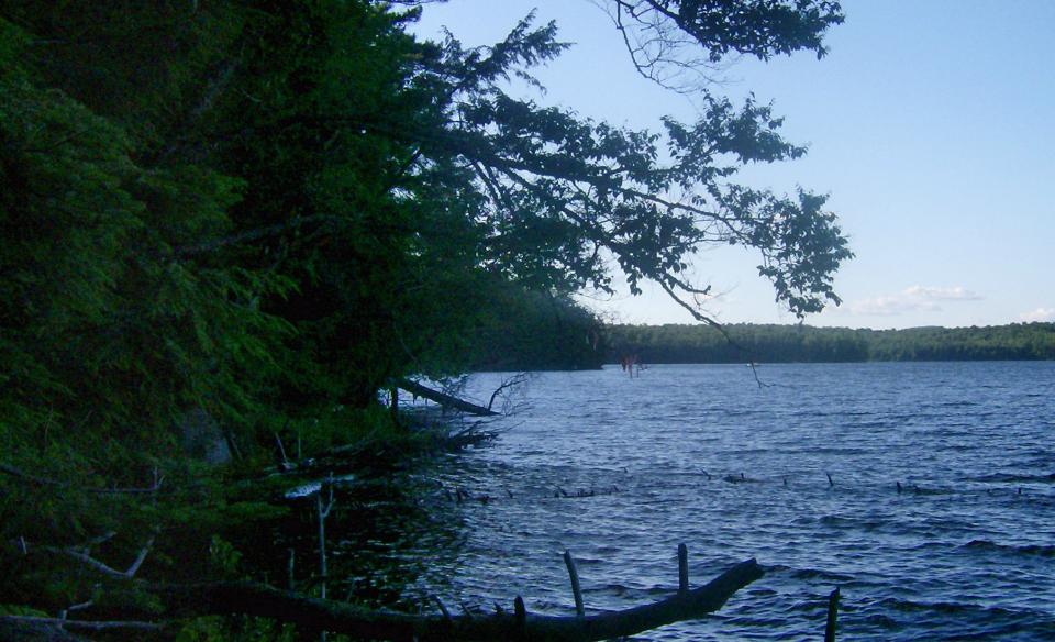 These erratic shorelines are scenic - and full of fish.