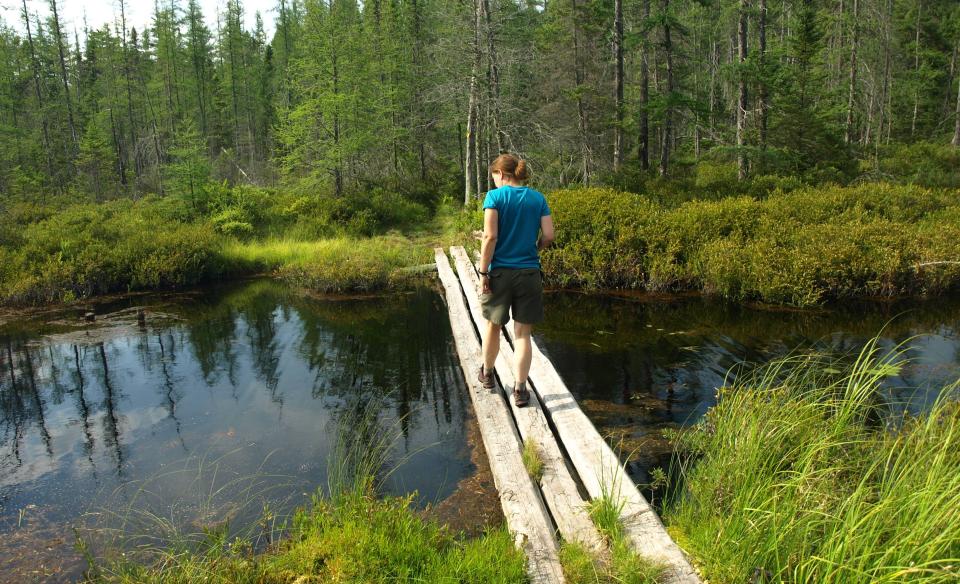 A person crosses a 3-plank wooden bridge.