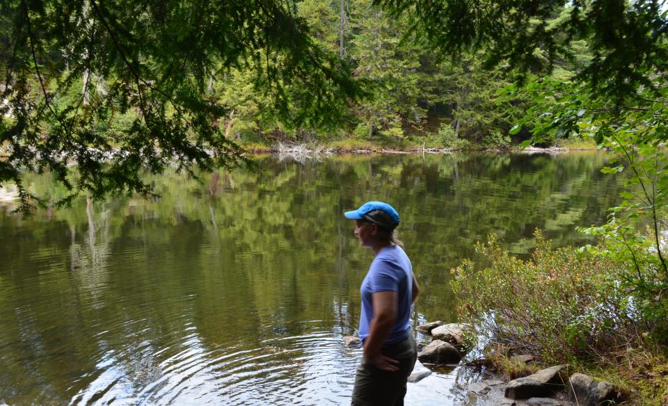 Plenty of exploration in this remote pond which is easy to get to.