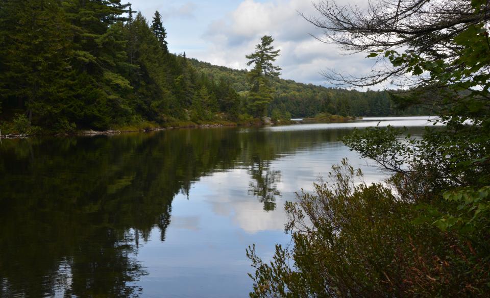 Great place to paddle when the leaves start to turn.