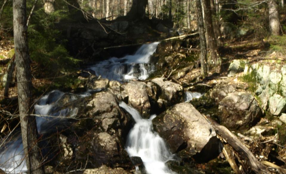 An especially scenic trail leading to a secluded lake.