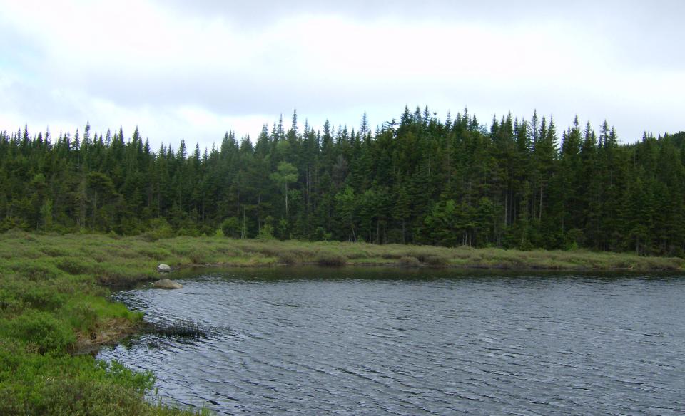 This pond is a backcountry hike destination.