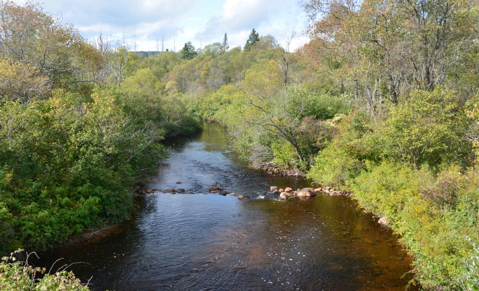 This lovely brook is in a remote location.