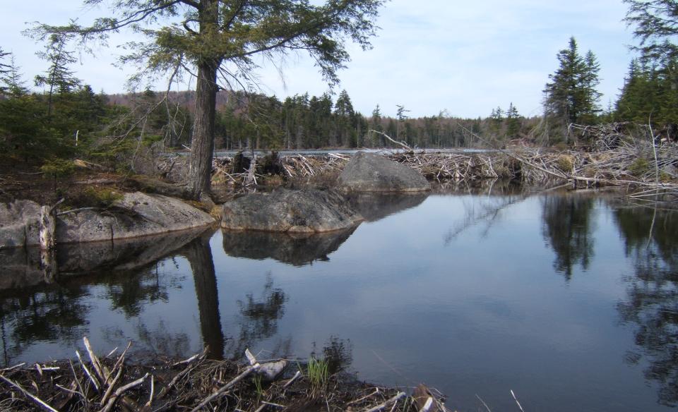 Gull Lakes is only accessible by boat.