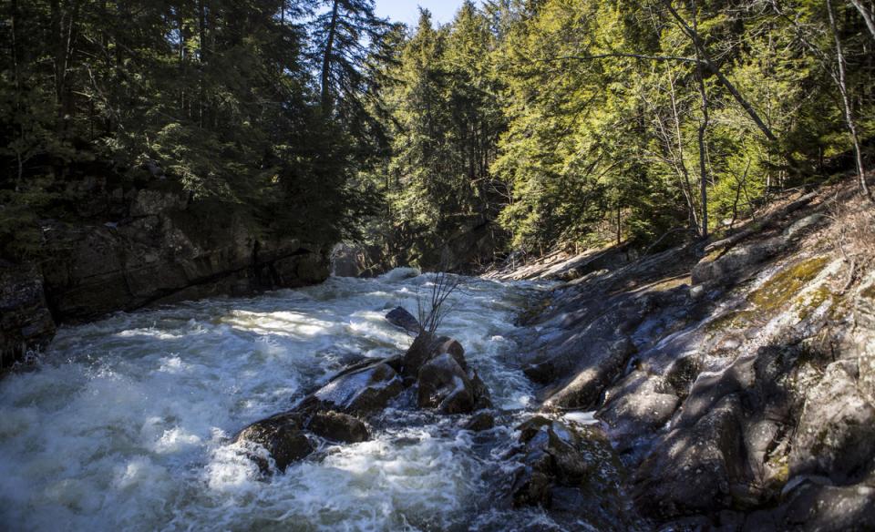 Boulders along the rapids near Griffin Falls