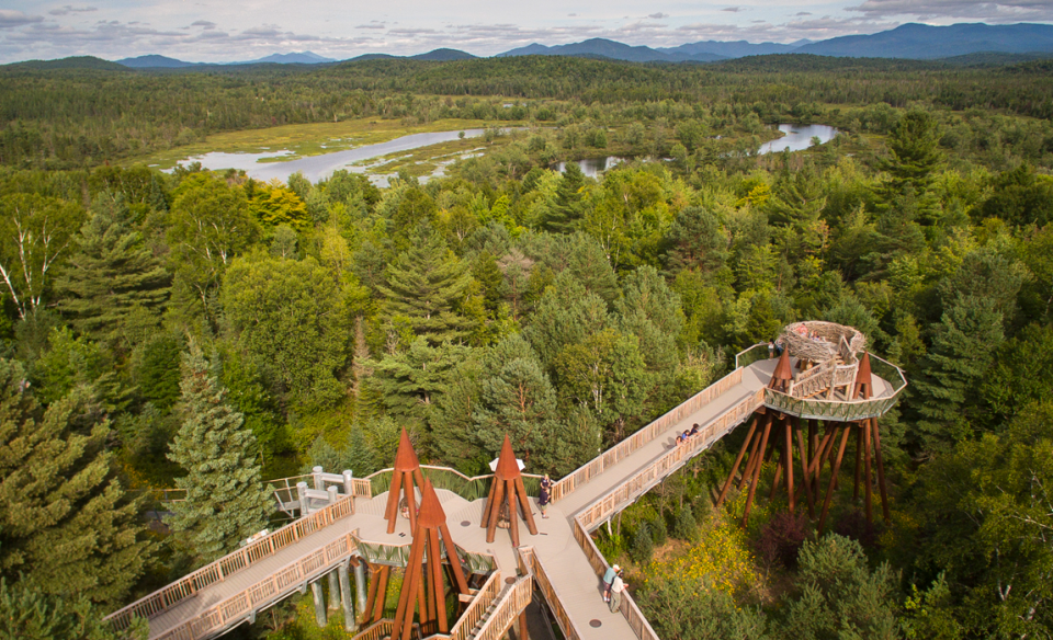 Aerial view of the portion of The Wild Walk including the famed Eagle's Nest