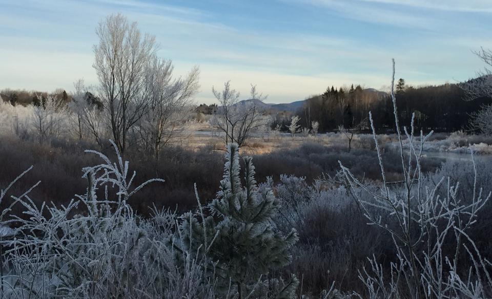 Beatiful winter scenery on the way to Round Pond.