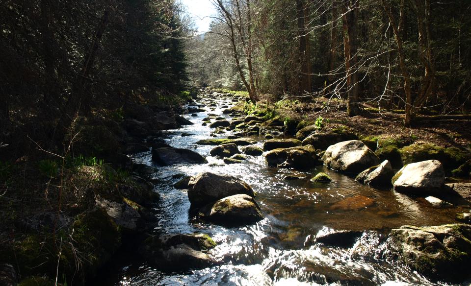 A stream flowing through chunky rocks.