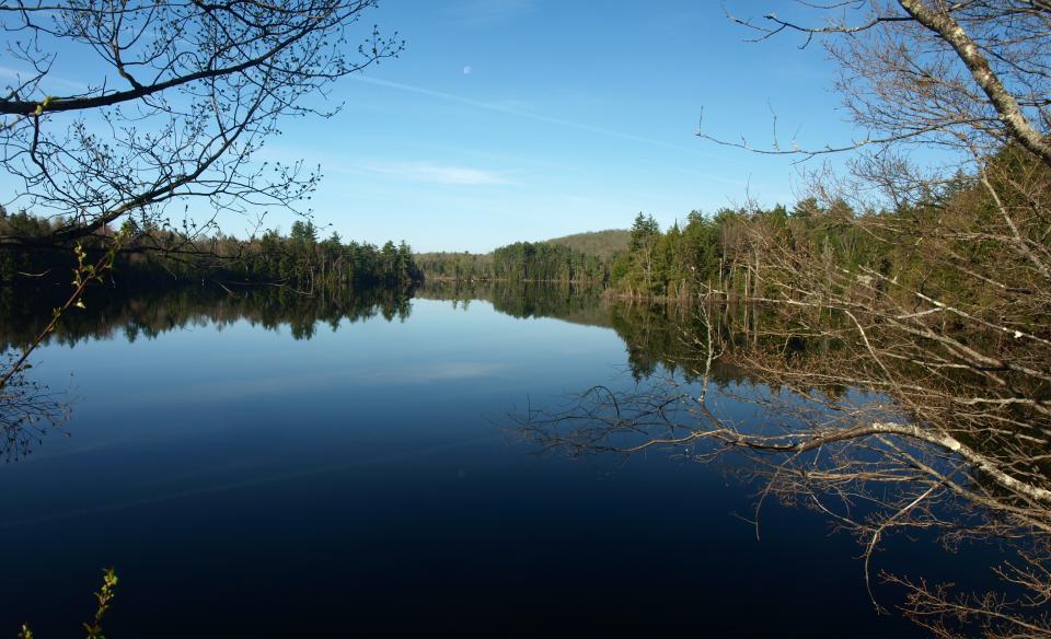 The view of a reflecting lake through some trees.