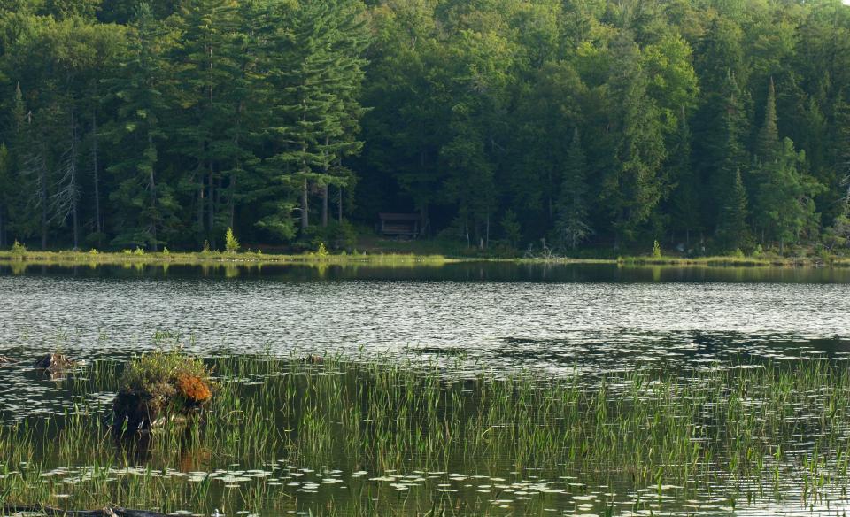 Good eating with brook trout and panfish at Utowana Lake.