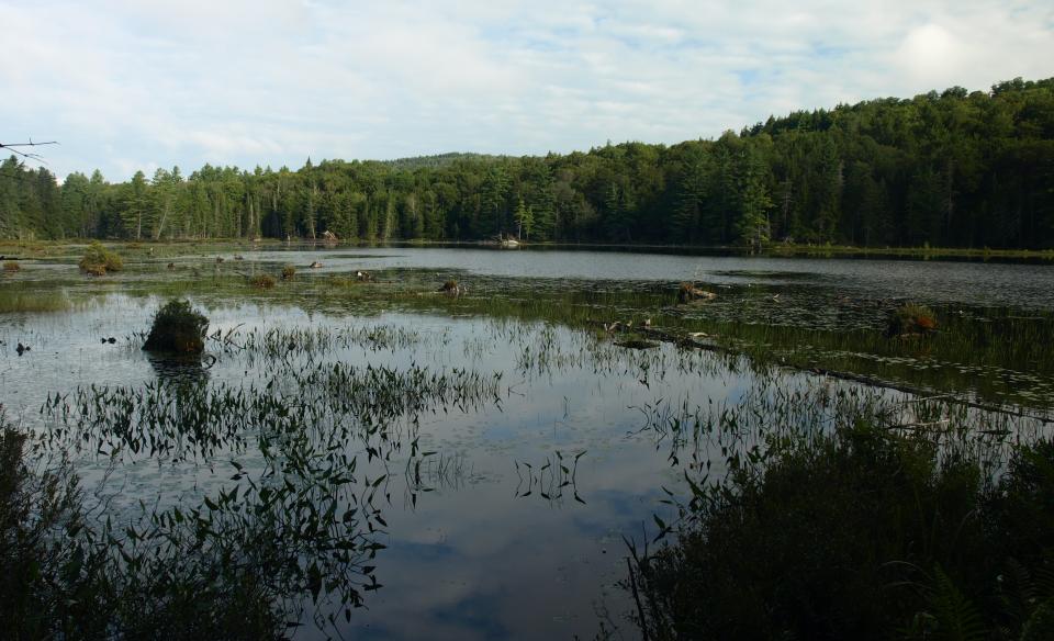 Utowana Lake is a peaceful paddling spot.