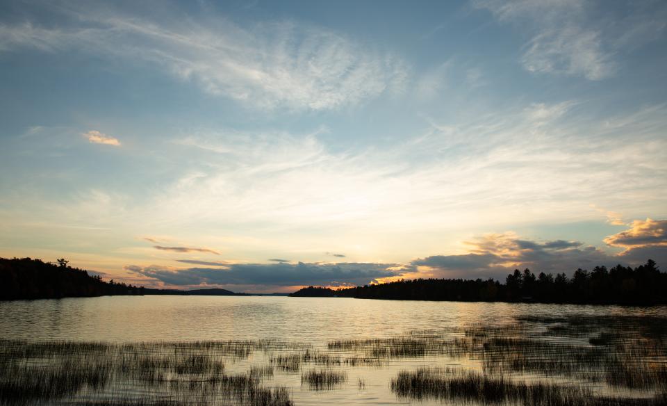 There are wetlands to paddle near on Lake Lila.