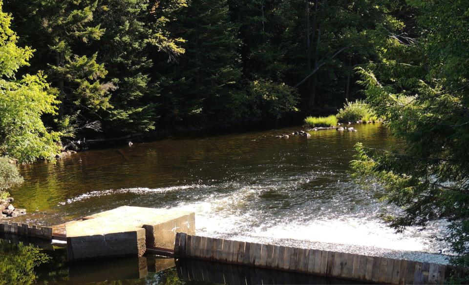 A dam with flowing water