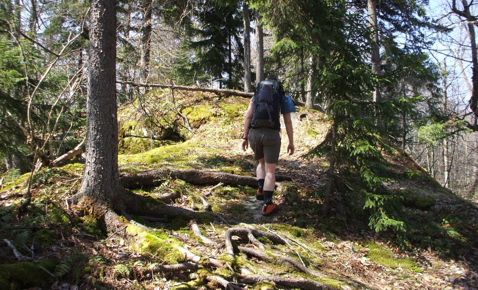 A hiker walks up a