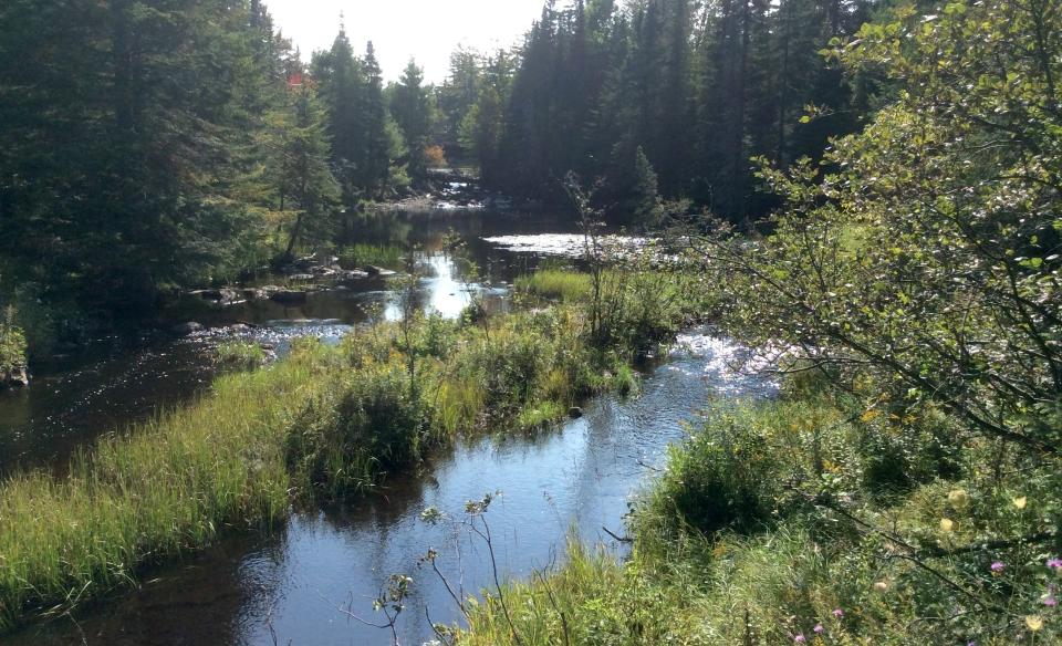 Fishing Brook has plenty of rapids for fishing.