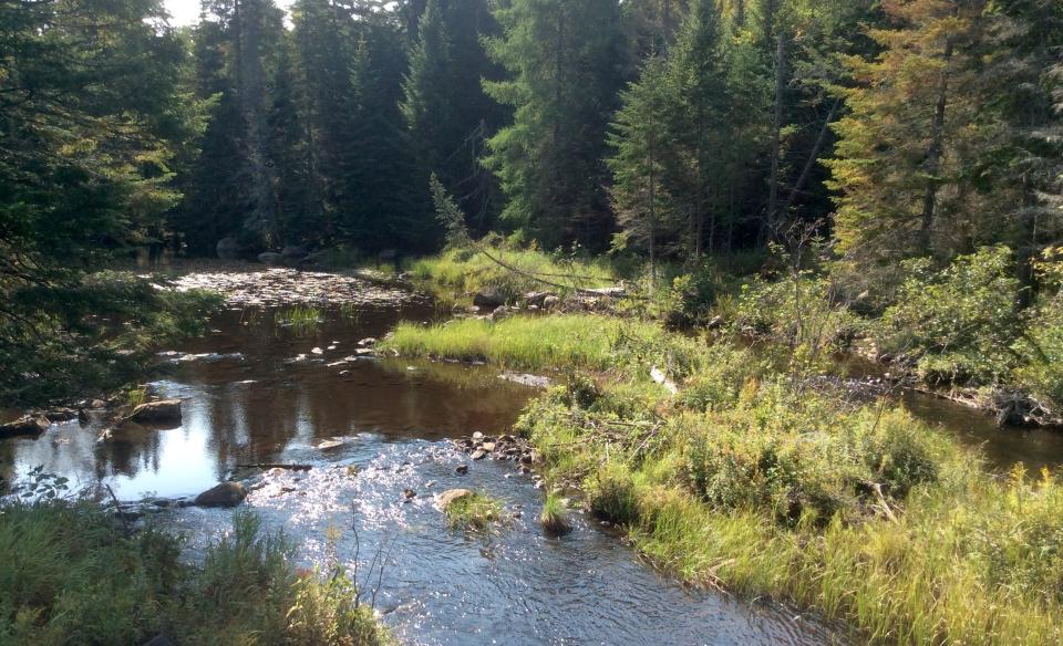 Fishing Brook is part of the County Line Flow fishing area.