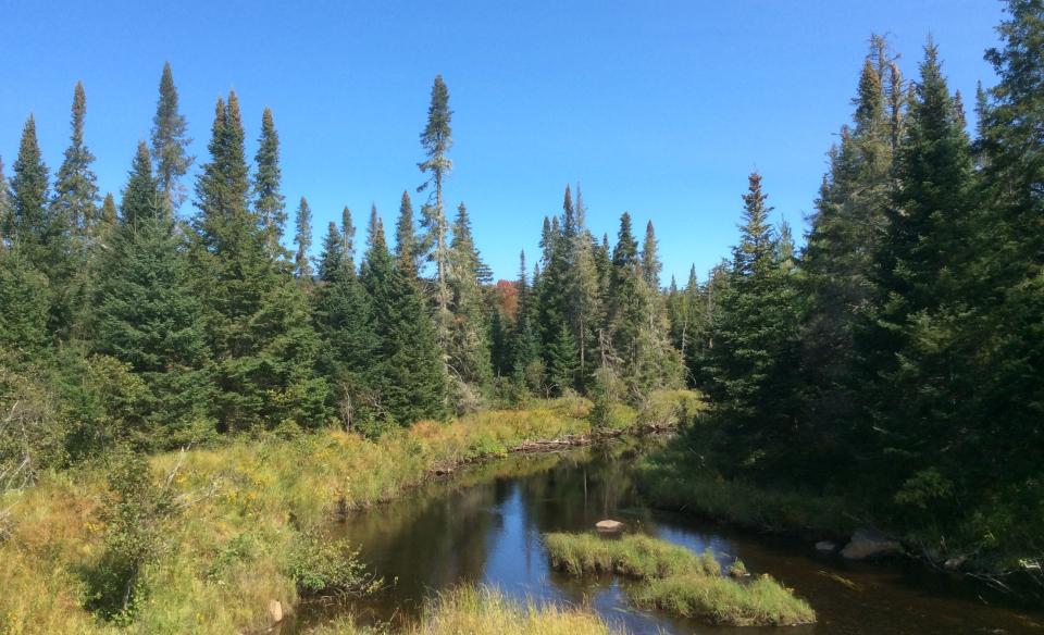 Parts of Fishing Brook can be accessed from County Line Flow.