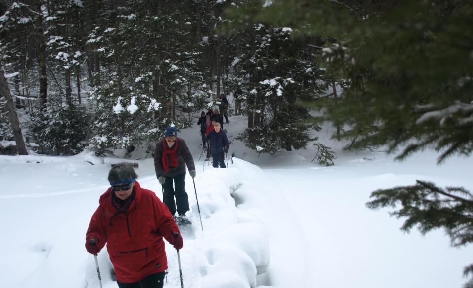 A large group of snowshoers