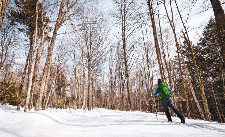 A skier glides through open woods