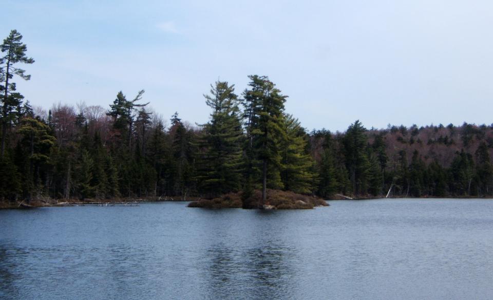 Paddle to several trailheads for Moose Lake hiking.