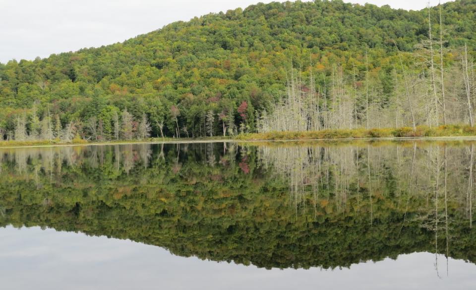 With so much shoreline it's a great place in fall.