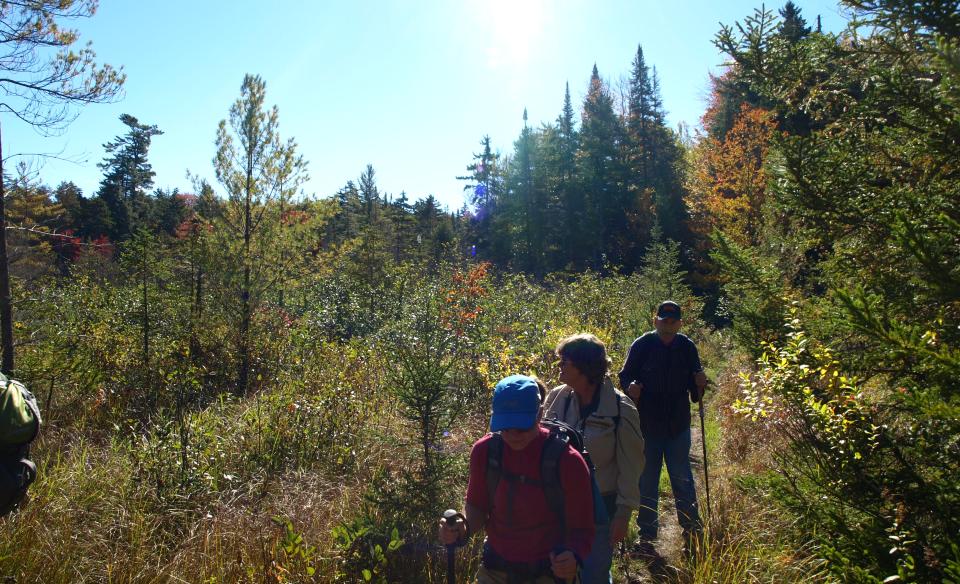 A variety of terrain and scenic vistas on the West Mountain trail.