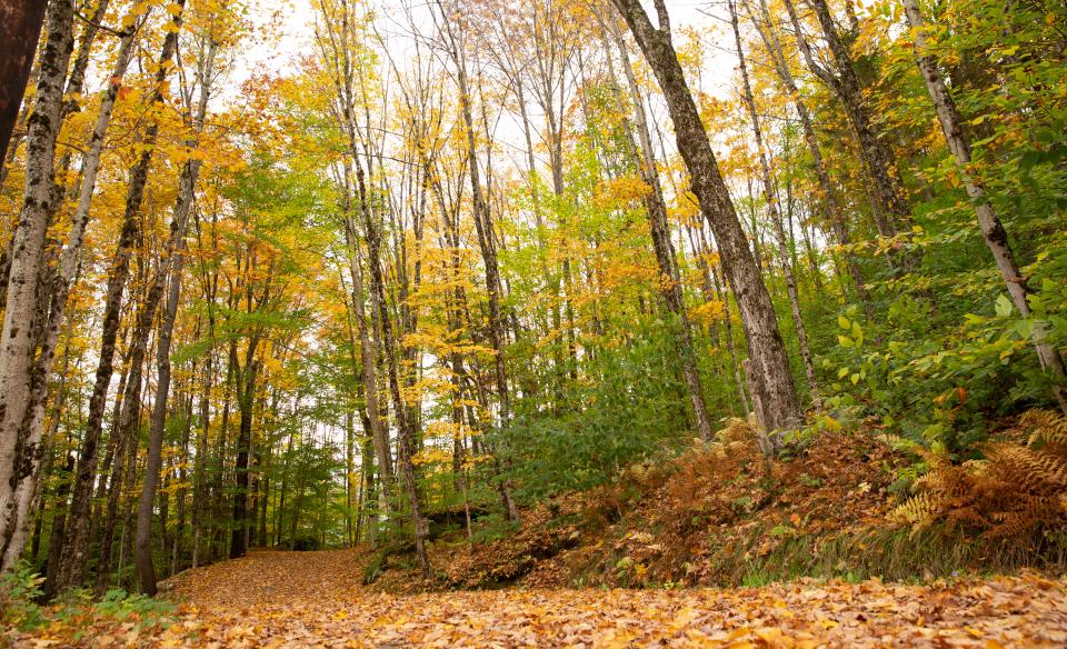 Enjoy the autumn foliage on the lovely trails.