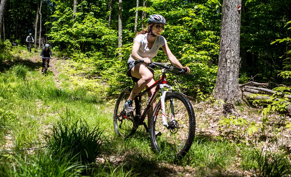 Fern Park is a popular spot for mountain biking.