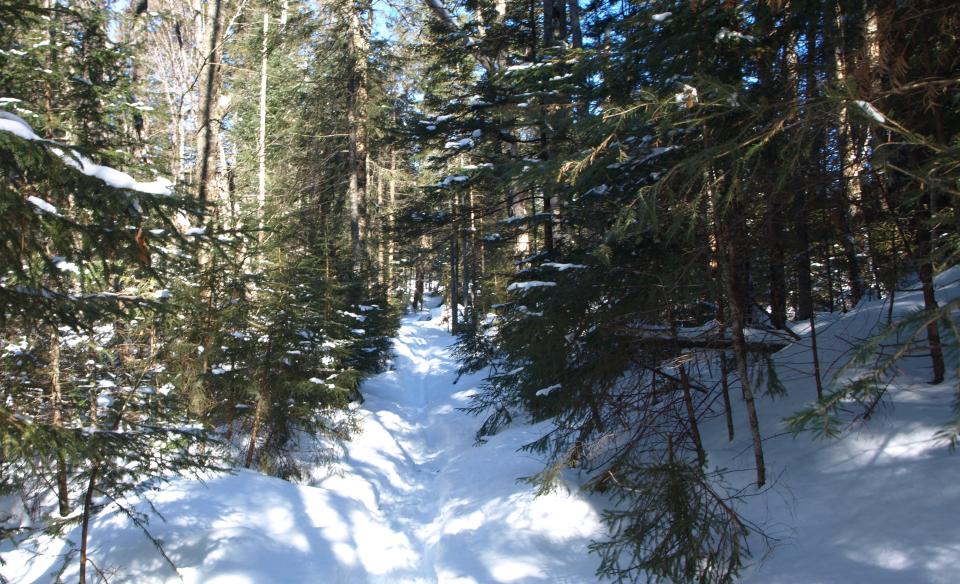 In winter, Lake Eaton Campground becomes a winter trail for skiing and snowmobiling.