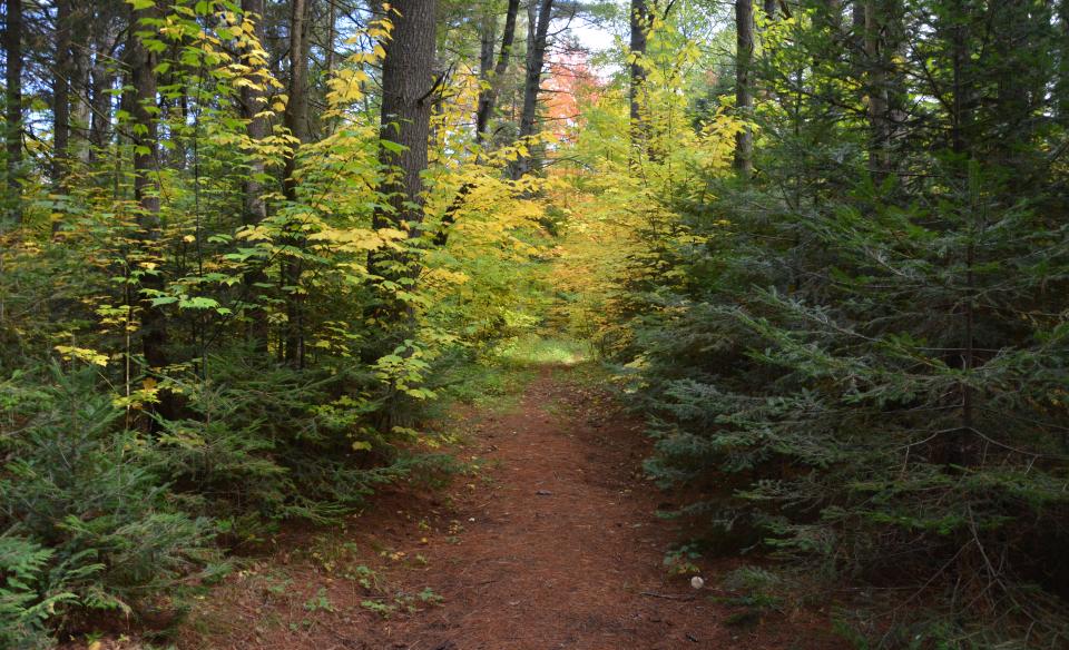 Long, scenic, and secluded, the Kunjamuk River Trail is all you need.