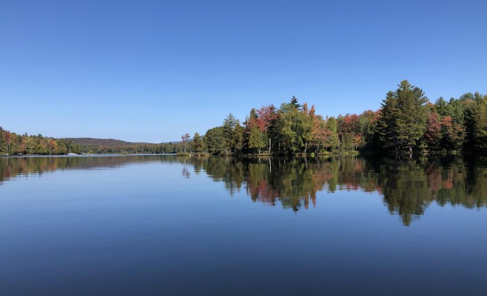 View of a pond and trees