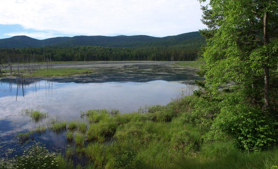 A pond reflecting trees and low mountains