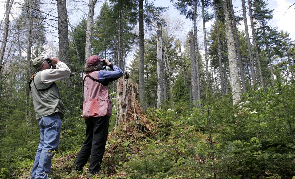 A couple birders looking through binoculars