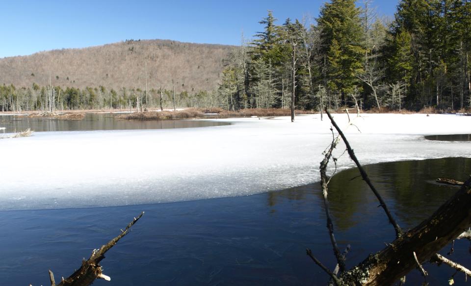 The distant peak of Poplar Mountain forms part of the vista at Buckhorn Lake.