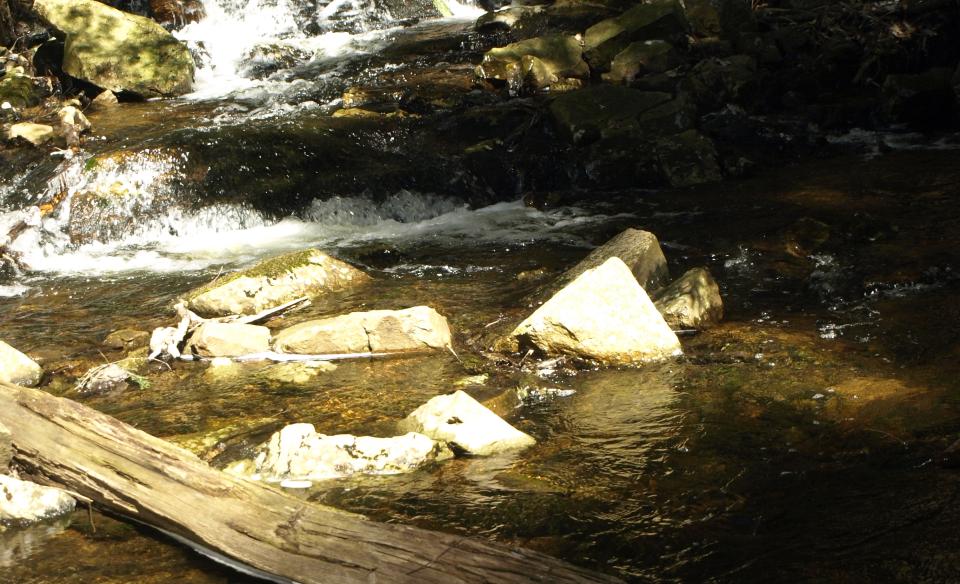 Beautiful surroundings enhance the waterfall near the lake outlet.