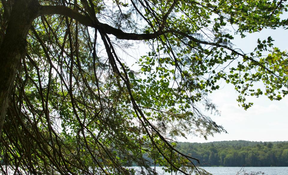 The whole family can enjoy this lake hike.