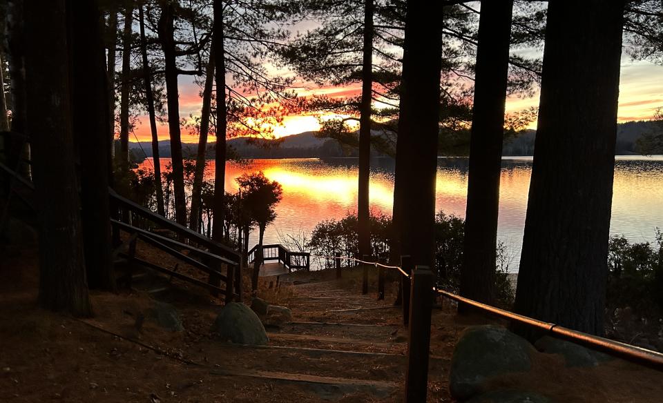 gorgeous warm sunset over the lake through the trees