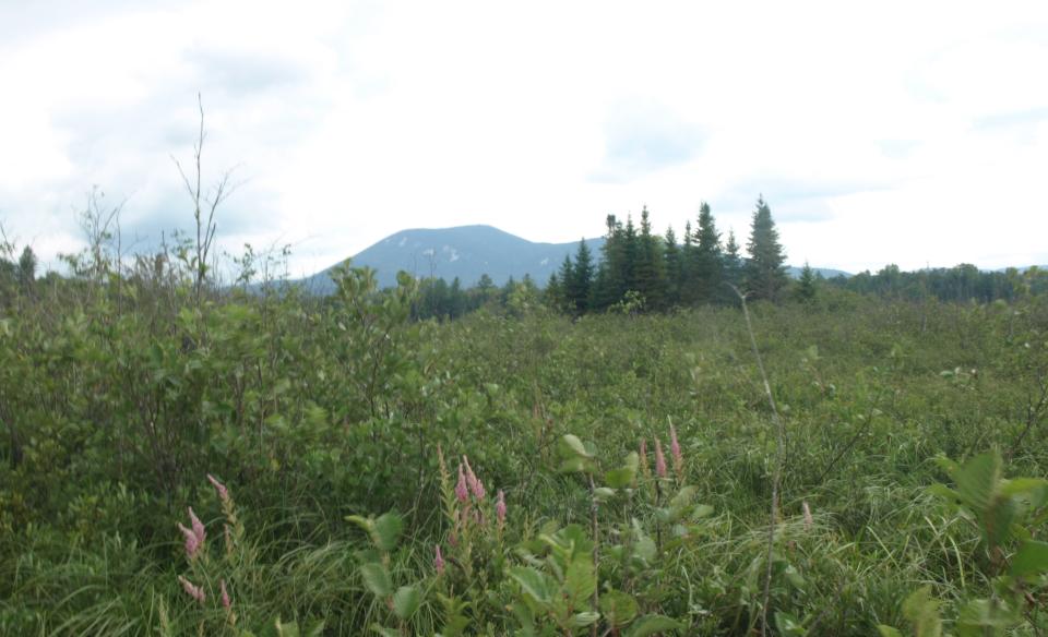 This easy trail to Rock Lake has many ways to please.