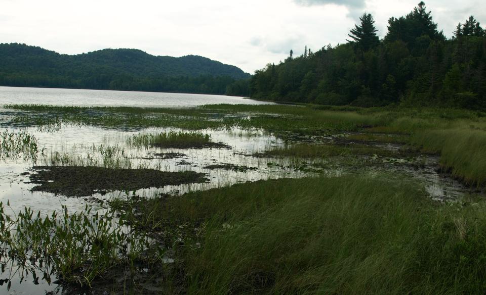 The interesting shoreline is great for birding and fishing.