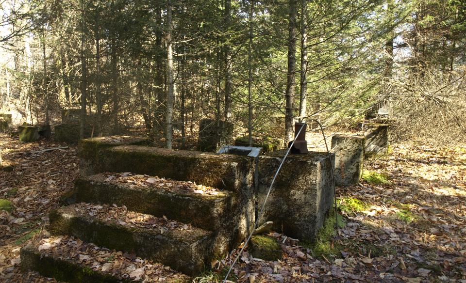 This is a non-maintained trail, but so well-marked it will not challenge those bushwhacking skills.