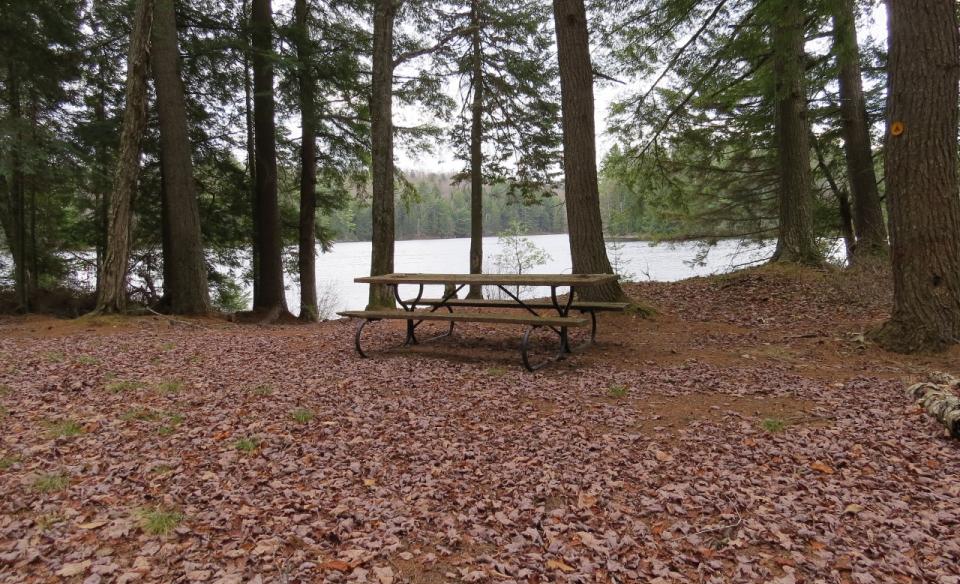 Many tent camping spaces through the tract.