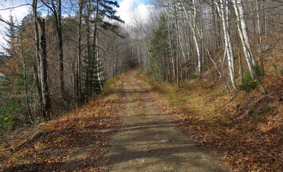 Access roads and trails make for varied terrain.