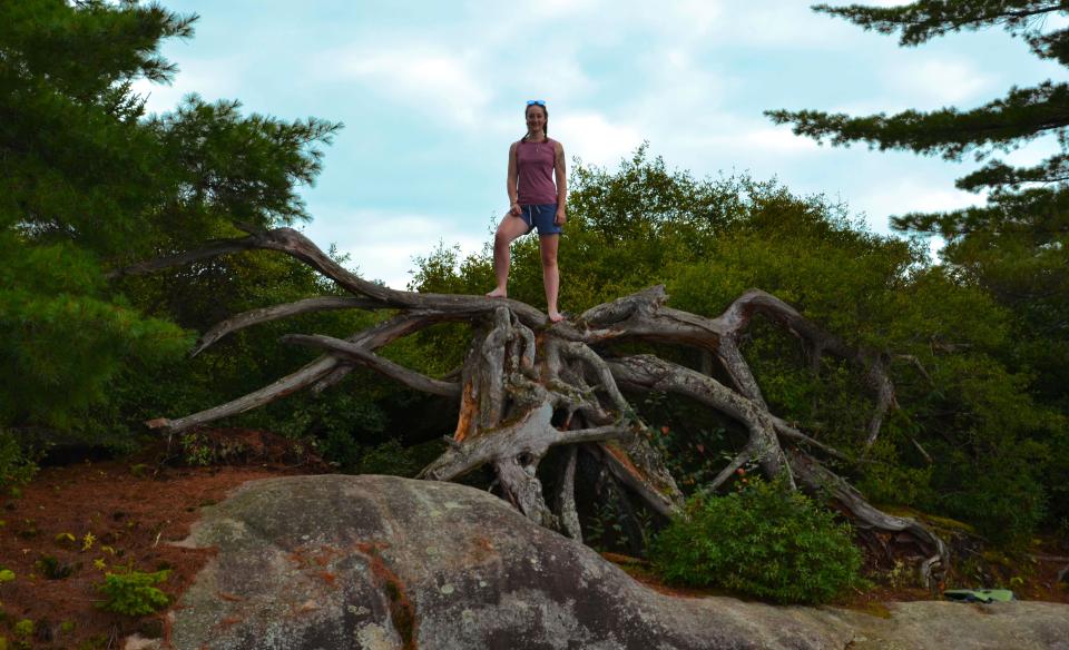 There's interesting scenery on all the hiking trails at Limekiln Lake.