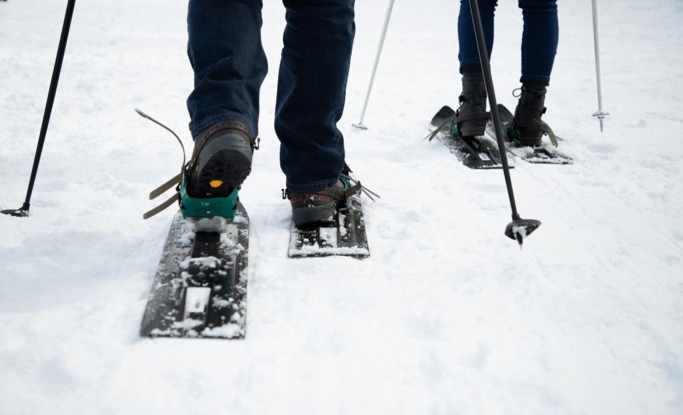 Great trail for a ski or snowshoe.